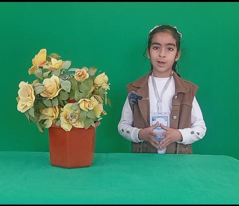 whatsapp image 2026 03 11 at 11.06.36