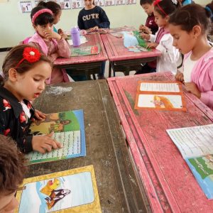 whatsapp image 2026 03 11 at 11.15.18 (3)